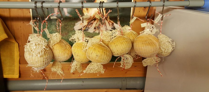 Gouda-Kugeln-Kunterbunt
